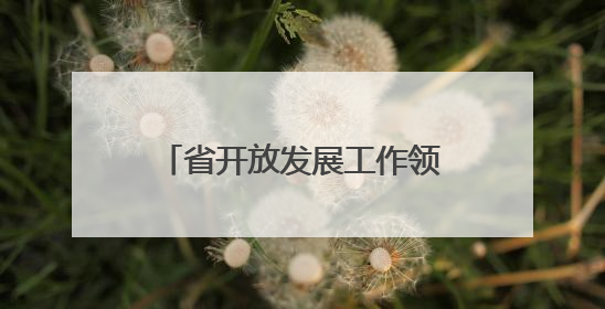 省开放发展工作领导小组会议召开